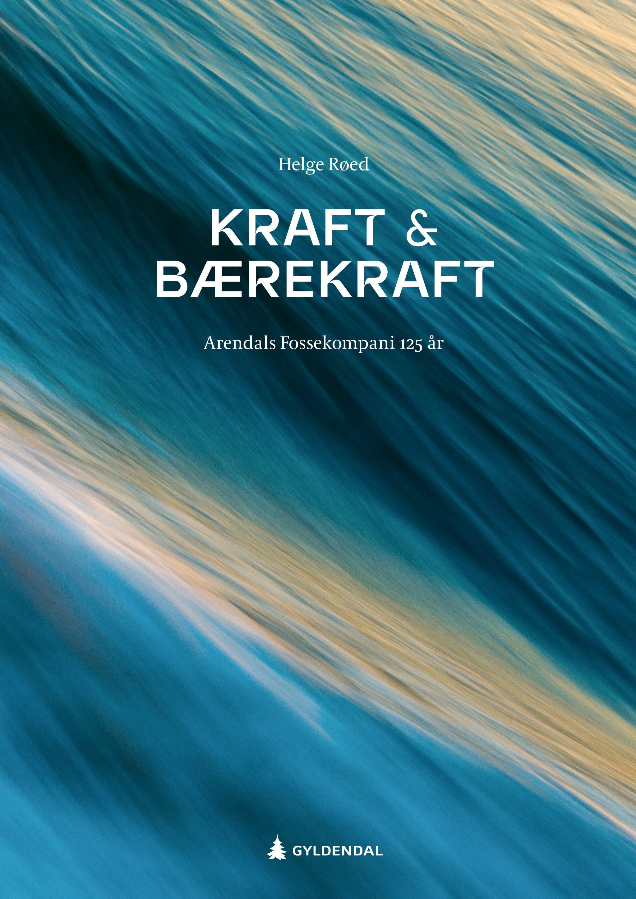 Kraft og bærekraft : Arendals Fossekompani 125 år