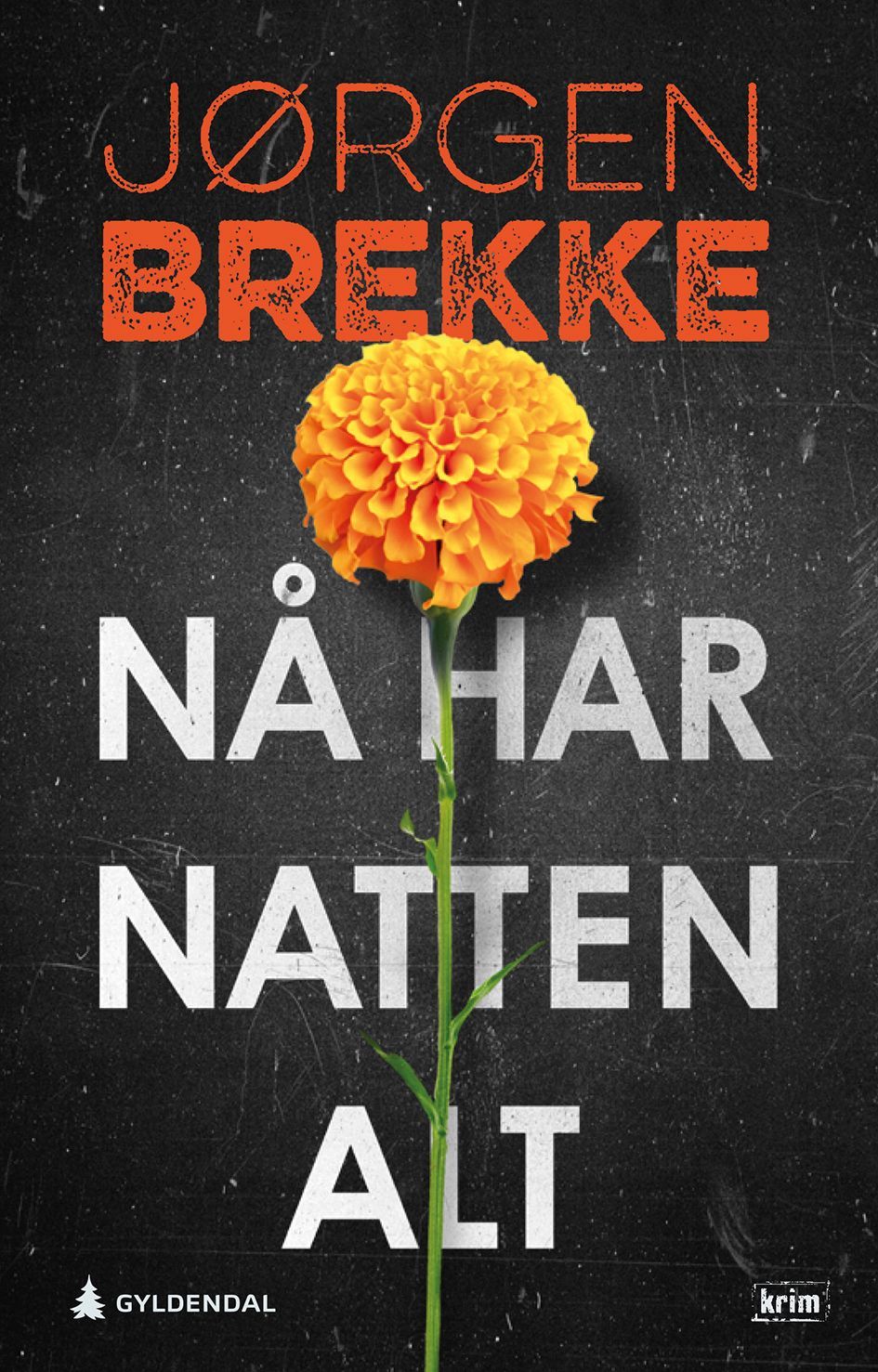 Nå har natten alt : kriminalroman