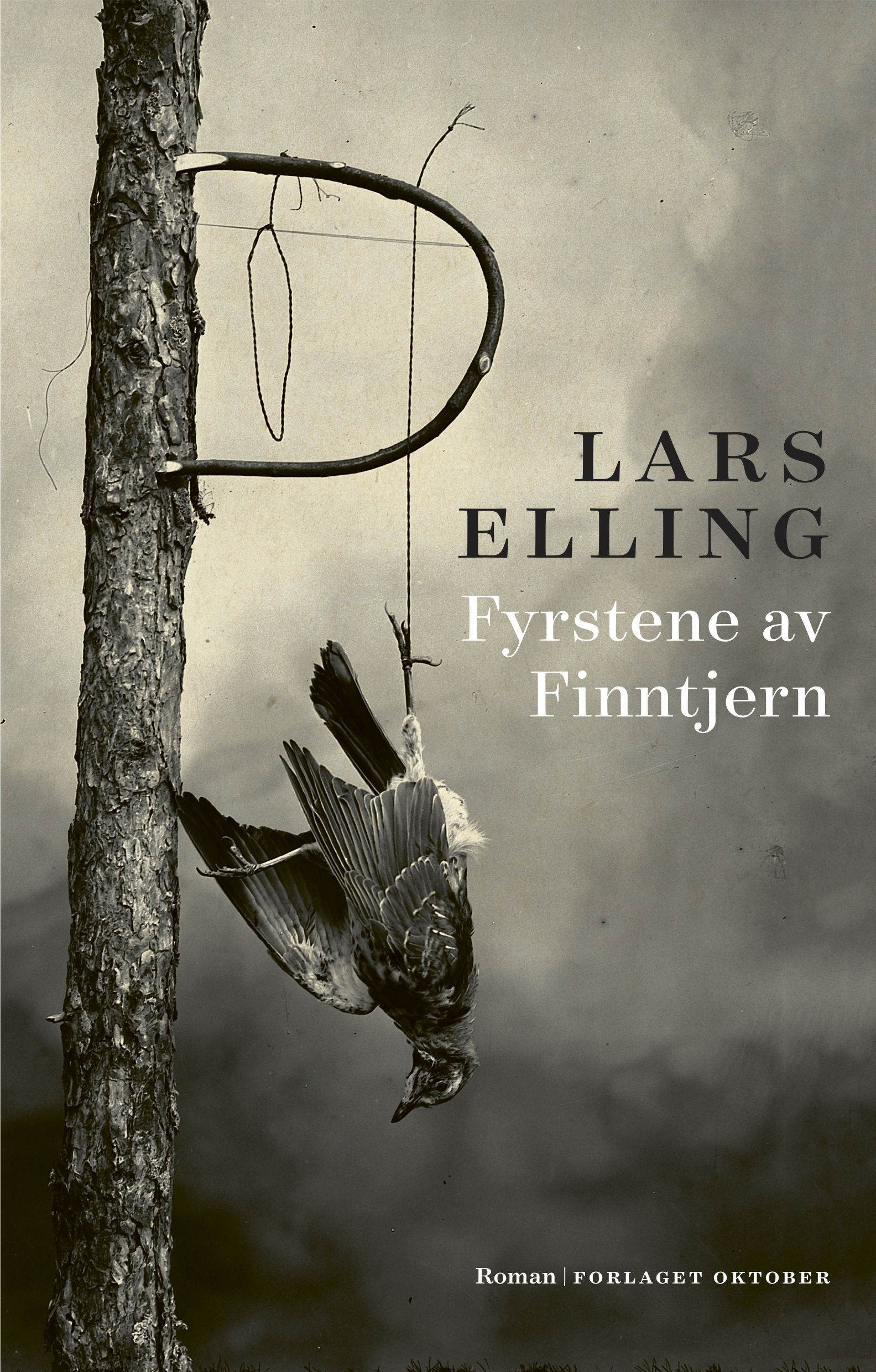 Fyrstene av Finntjern : roman