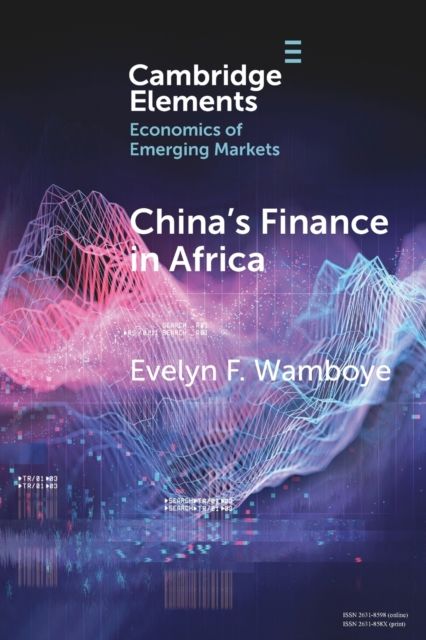 China's Finance in Africa : What and How Much?