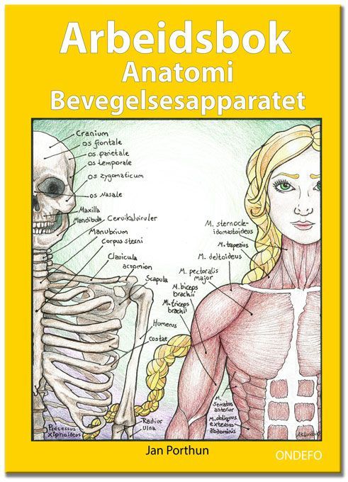 Arbeidsbok anatomi bevegelsesapparatet : for studenter som studerer helsefag, medisin eller idrett