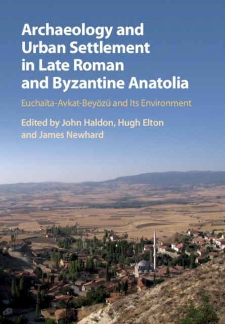Archaeology and Urban Settlement in Late Roman and Byzantine Anatolia : Euchaita-Avkat-Beyozu and its Environment
