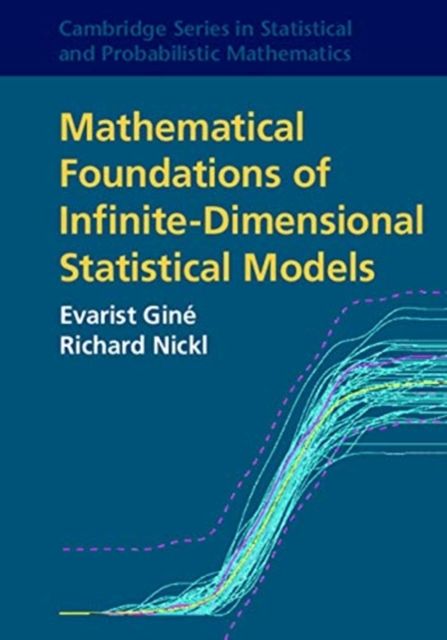 Mathematical Foundations of Infinite-Dimensional Statistical Models