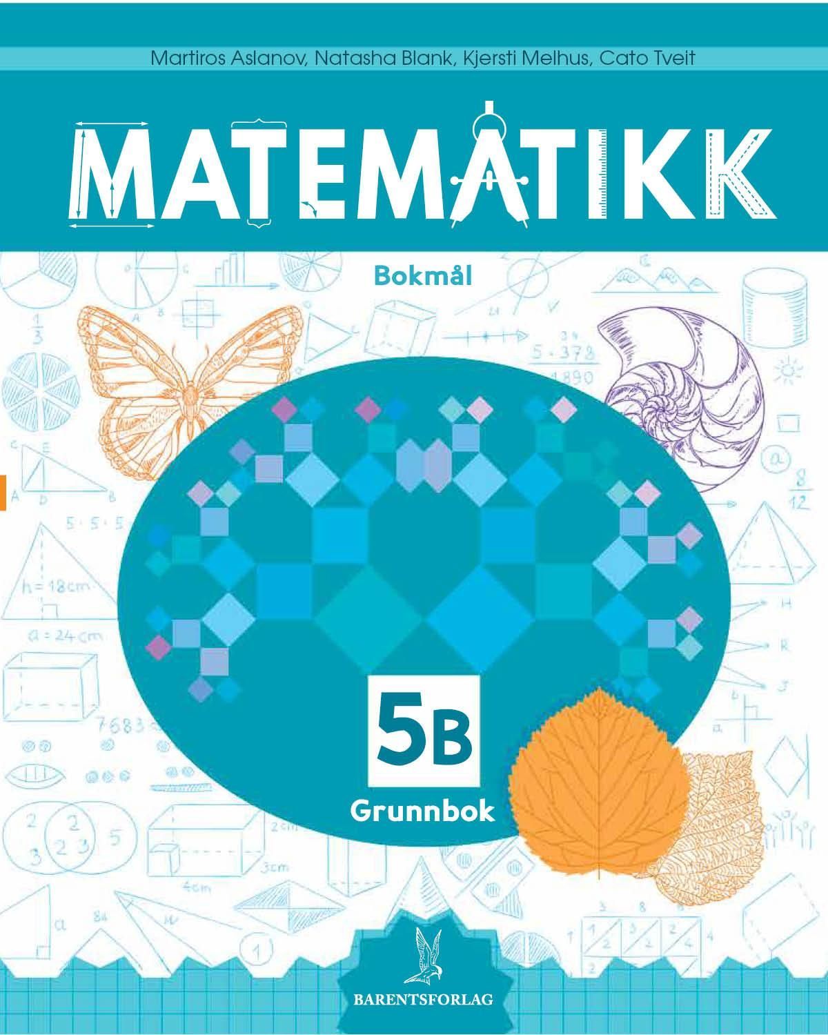 Matematikk. Grunnbok 5B