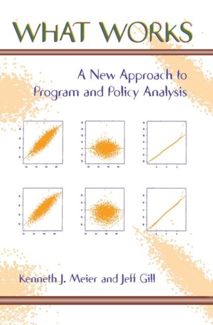 What Works : A New Approach To Program And Policy Analysis