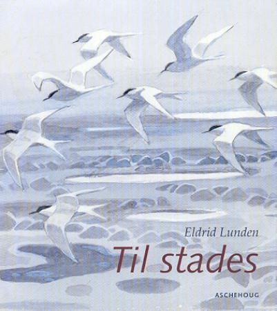 Til stades : tekstar om erindring og gløymsle