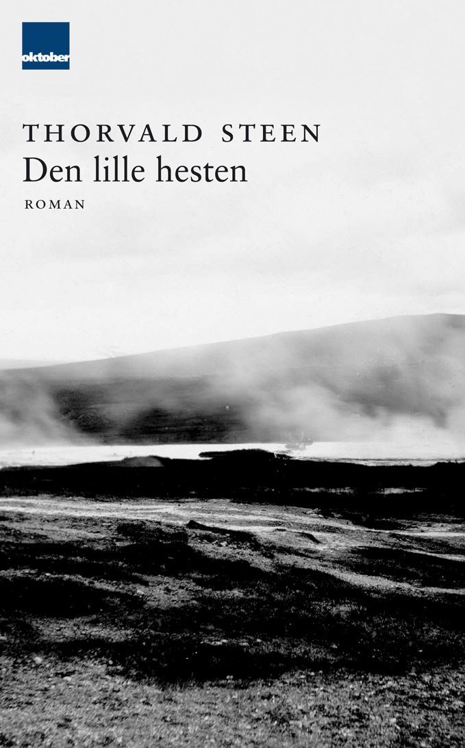 Den lille hesten : roman