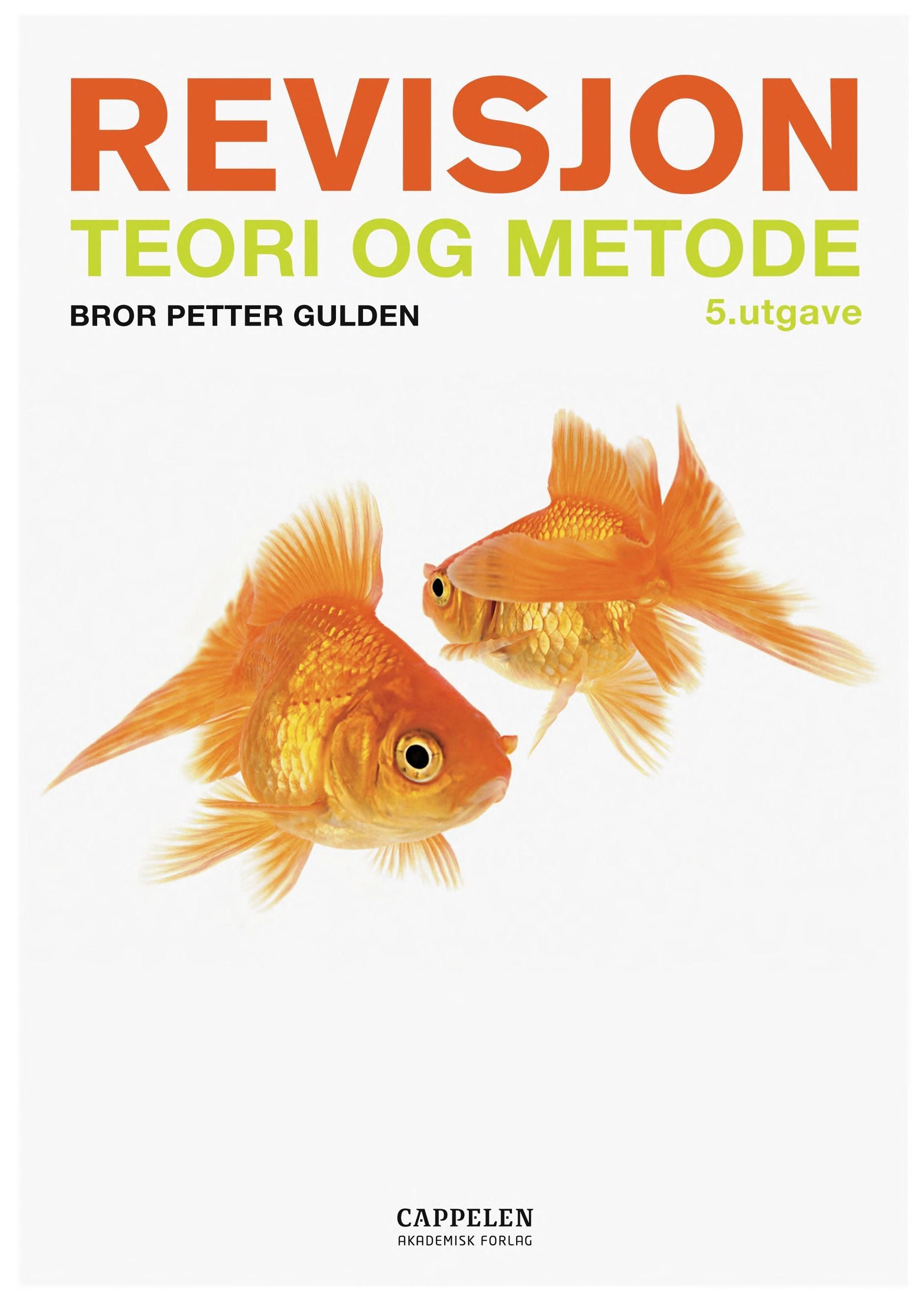 Revisjon : teori og metode