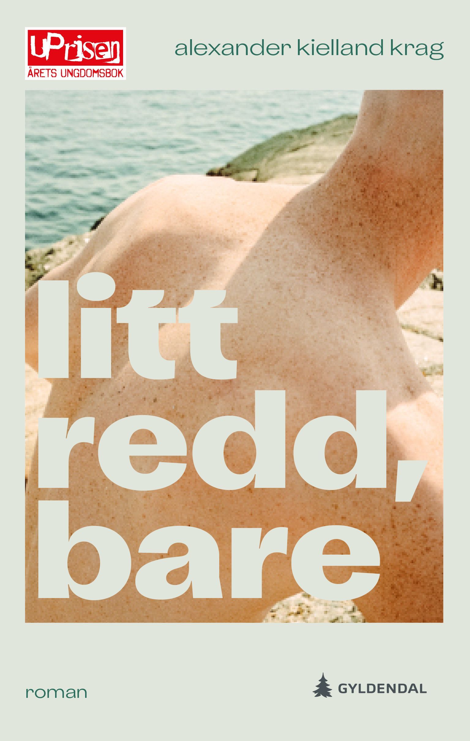 Litt redd, bare : roman