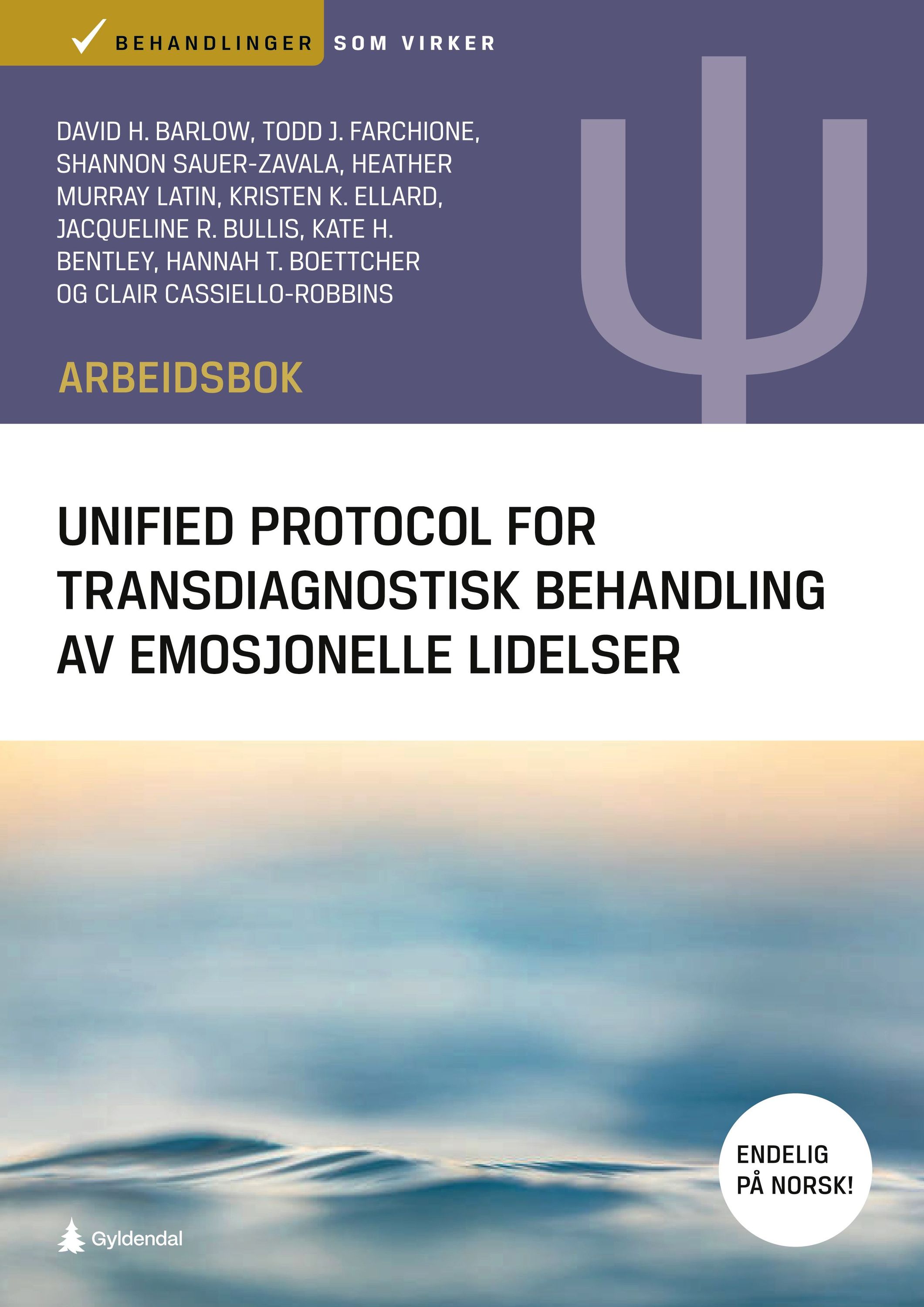 Unified protocol for transdiagnostisk behandling av emosjonelle lidelser : arbeidsbok