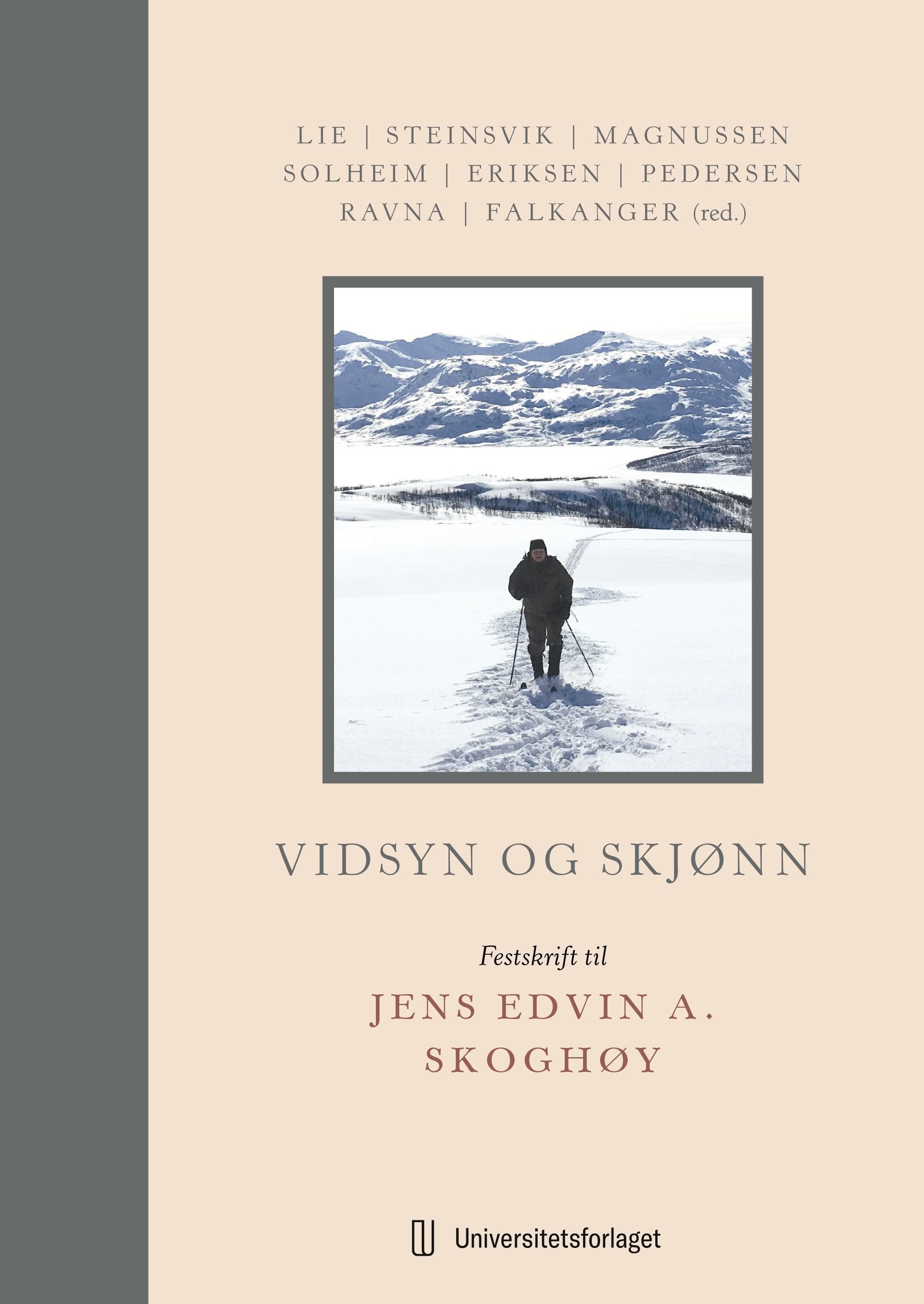 Vidsyn og skjønn : festskrift til Jens Edvin A. Skoghøy på 70-årsdagen 16. februar 2025