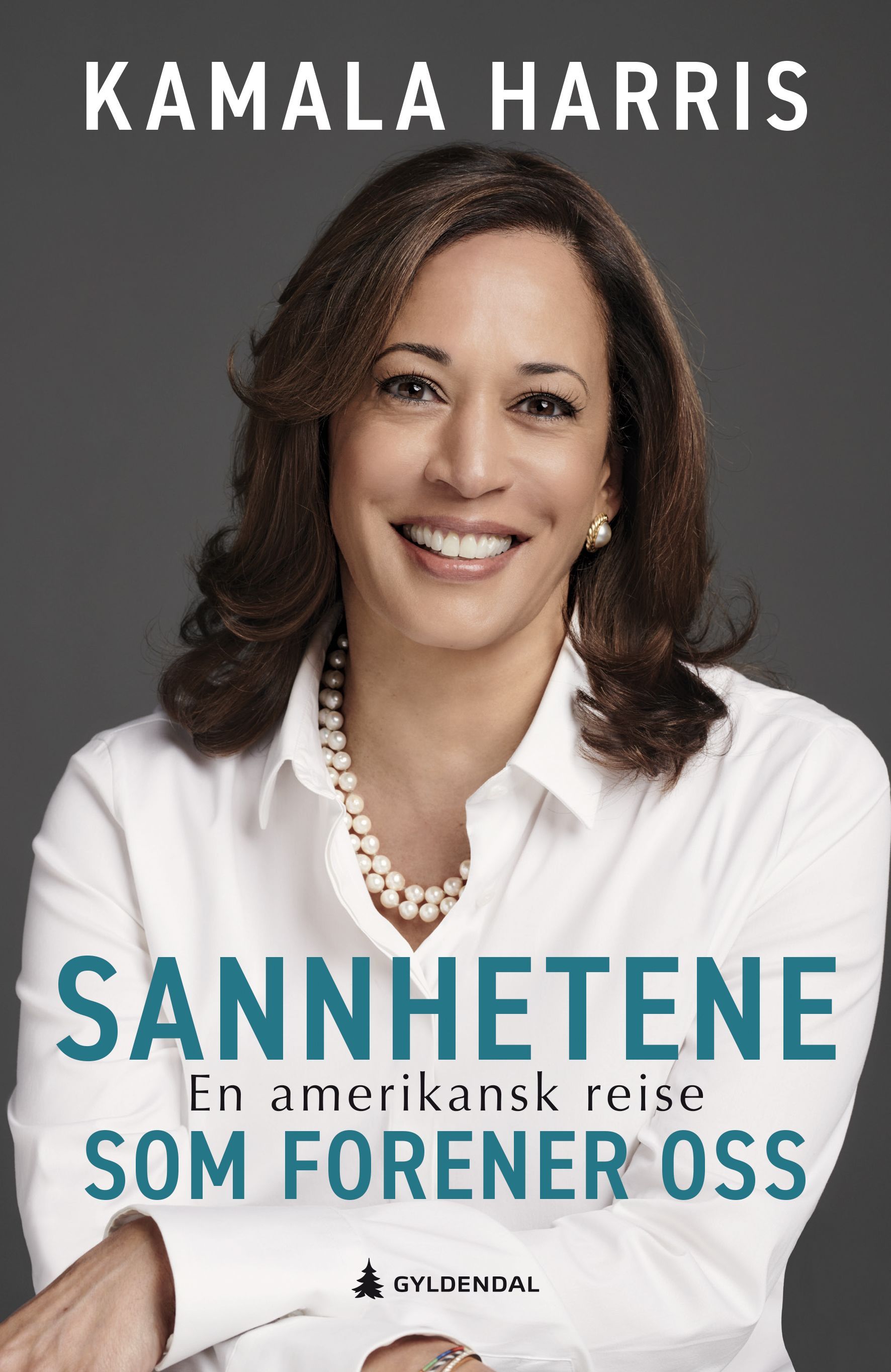 Sannhetene som forener oss : en amerikansk reise