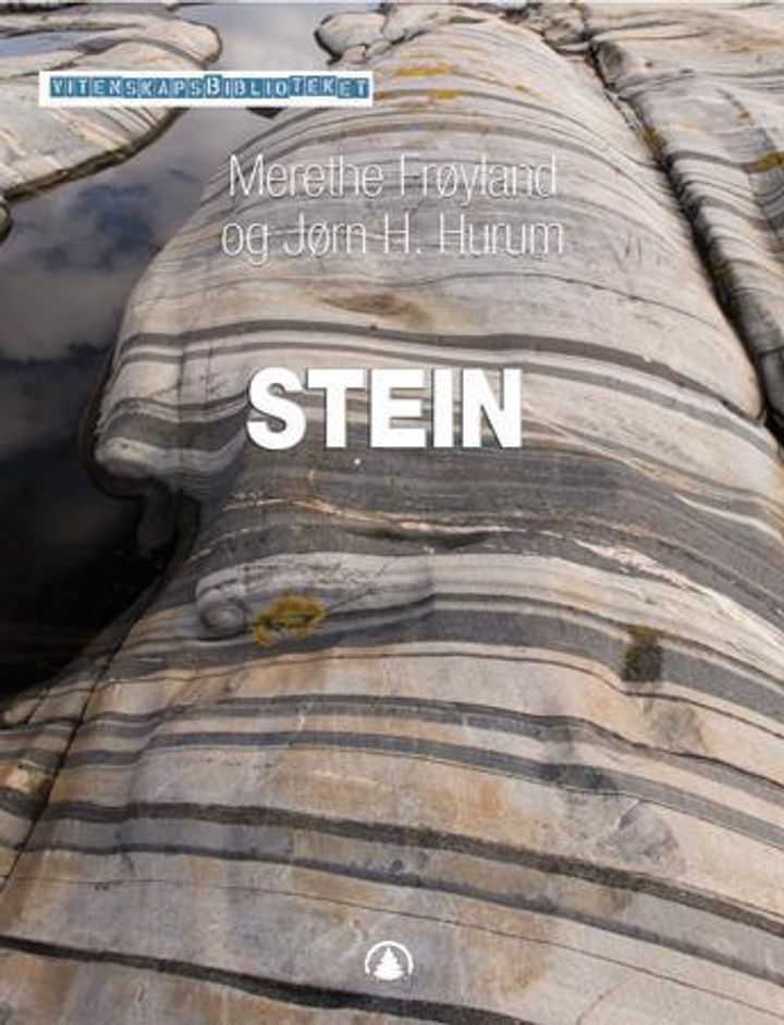 Stein