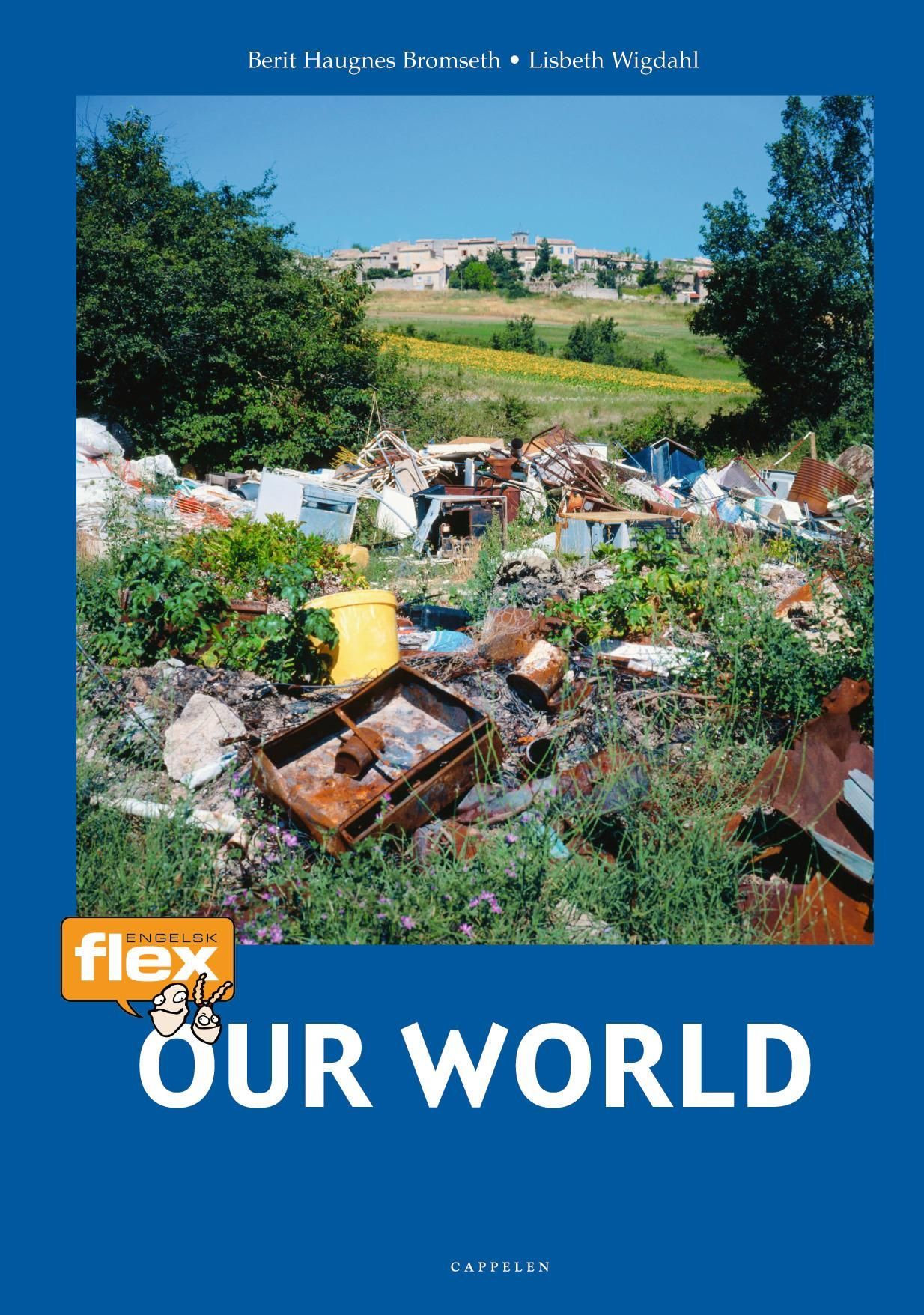 Our world : flex engelsk