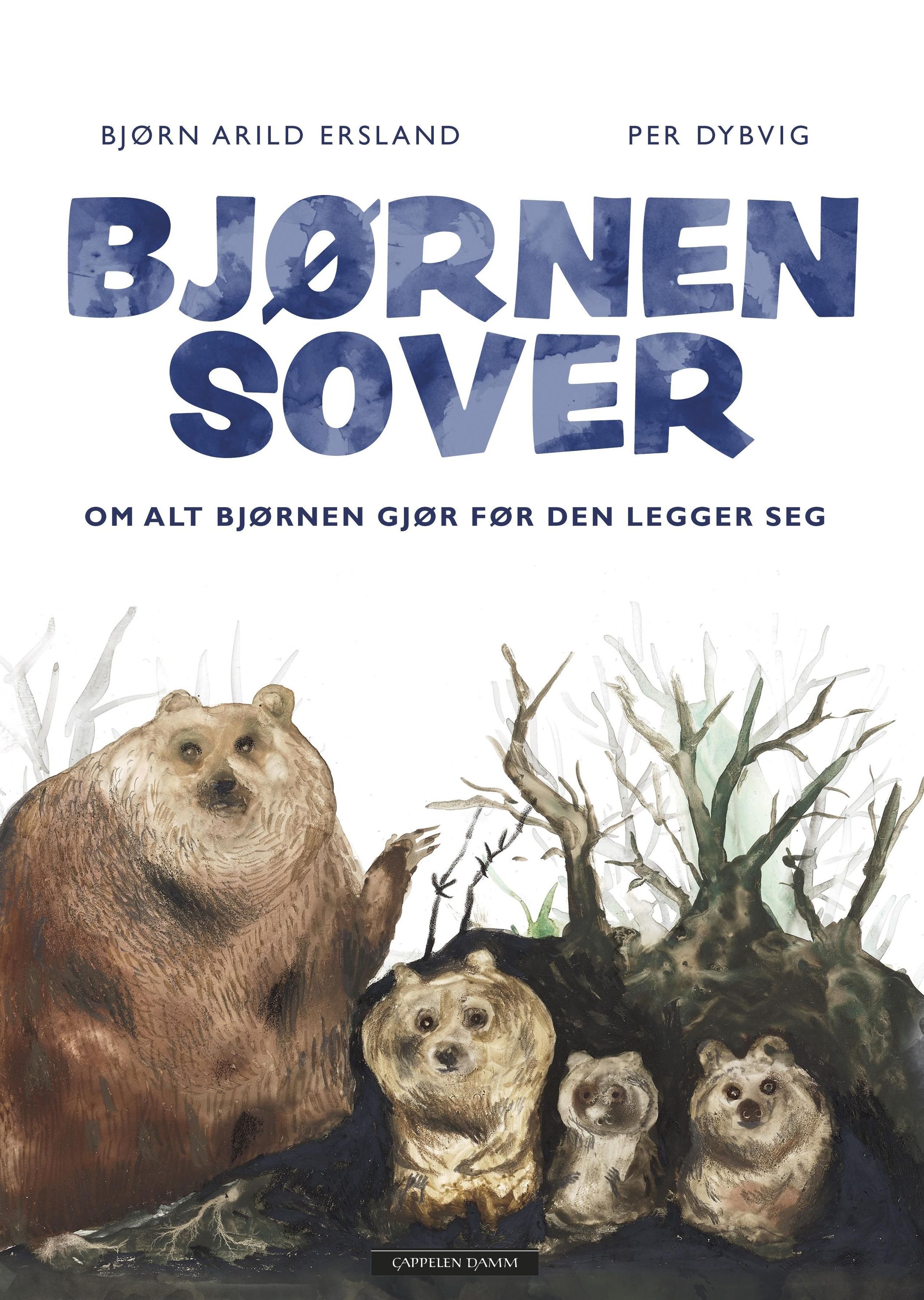 Bjørnen sover : om alt bjørnen gjør før den legger seg
