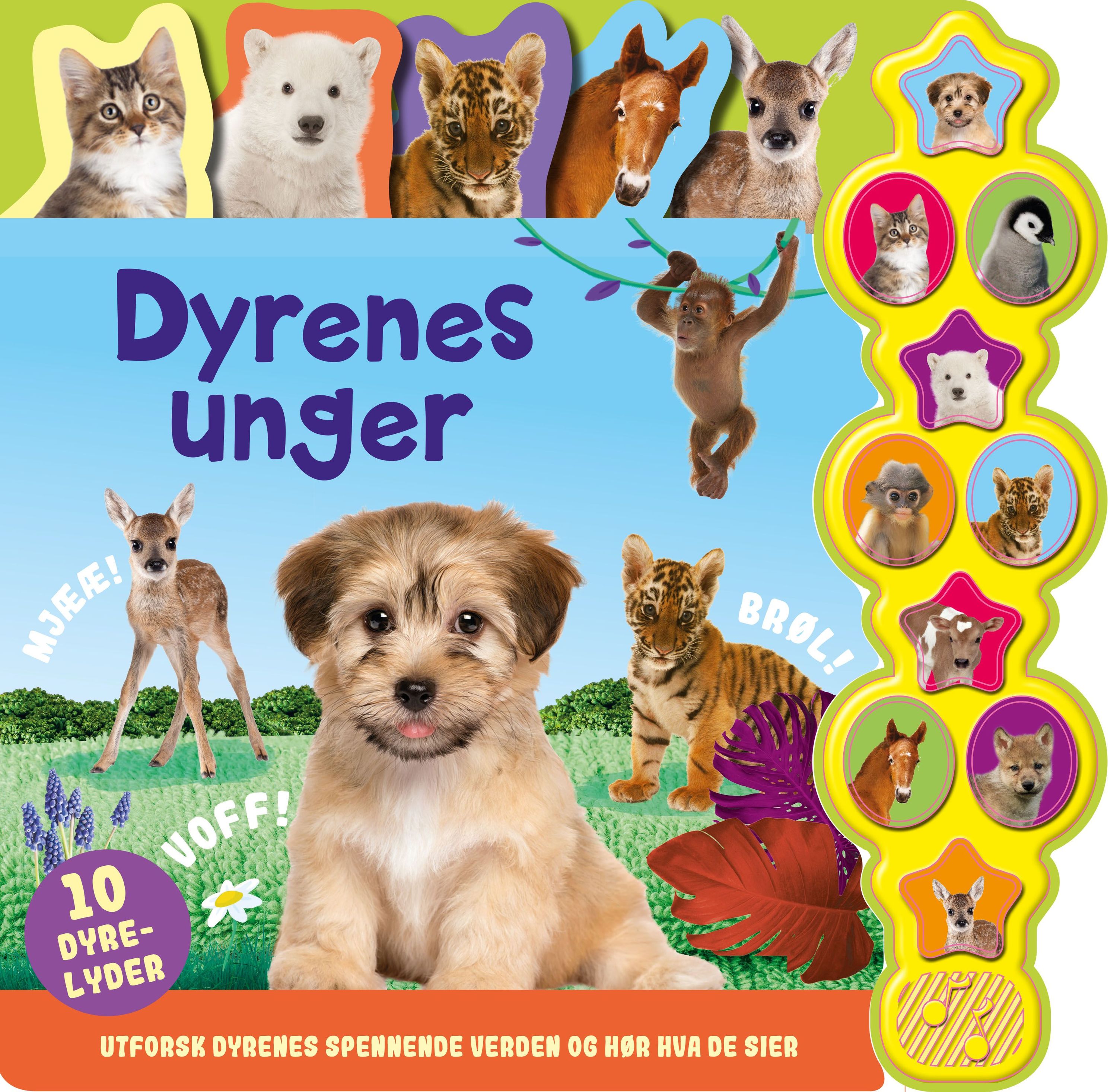 Dyrenes unger : 10 dyrelyder : utforsk dyrenes spennende verden og hør hva de sier