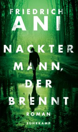 Nackter Mann, der brennt : Roman