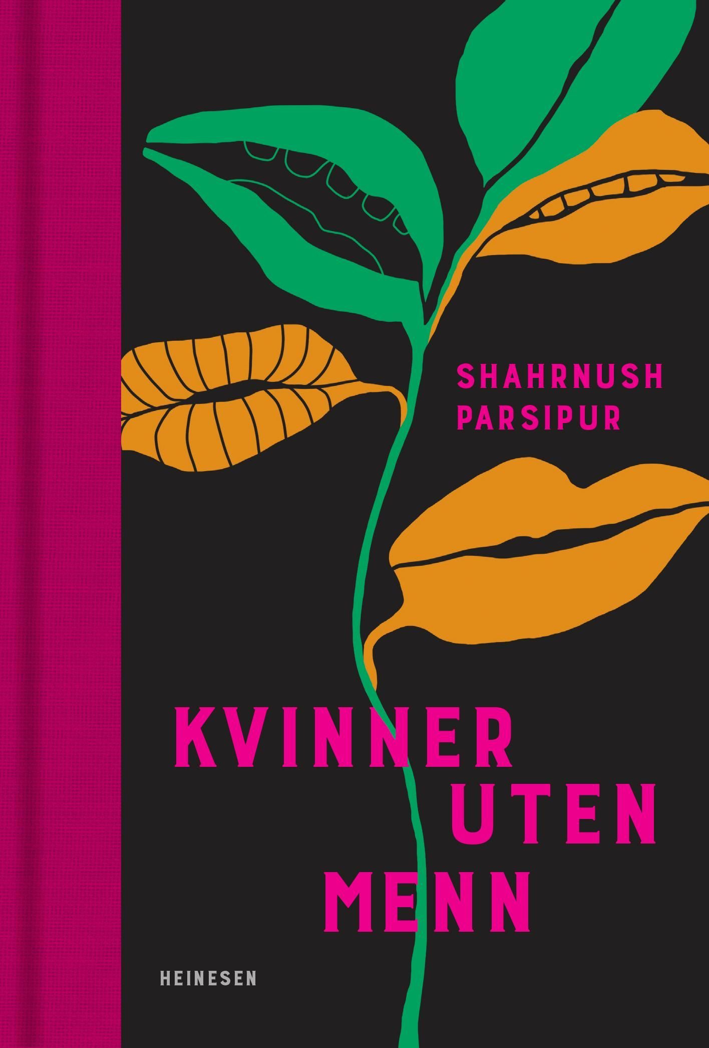 Kvinner uten menn : roman