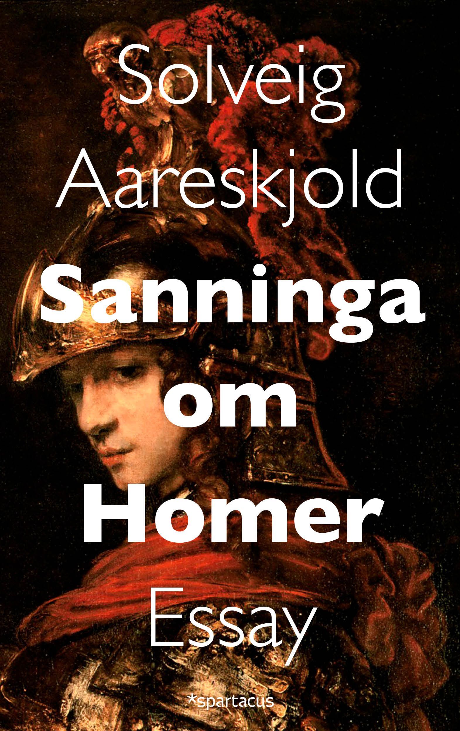 Sanninga om Homer : essay
