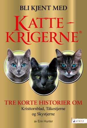 Kattekrigerne