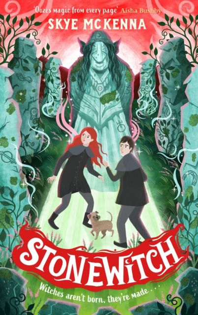 Hedgewitch: Stonewitch : Book 4: The enchanting series brimming with mystery and magic