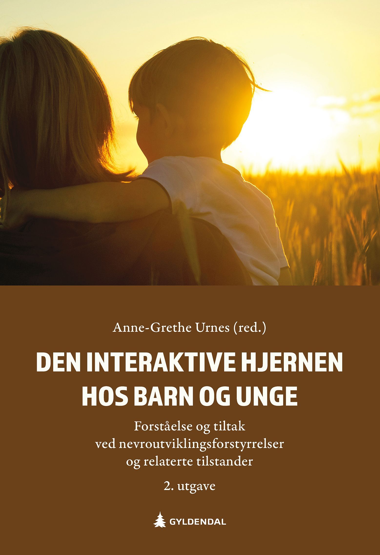 Den interaktive hjernen hos barn og unge : forståelse og tiltak ved nevroutviklingsforstyrrelser og relaterte tilstander
