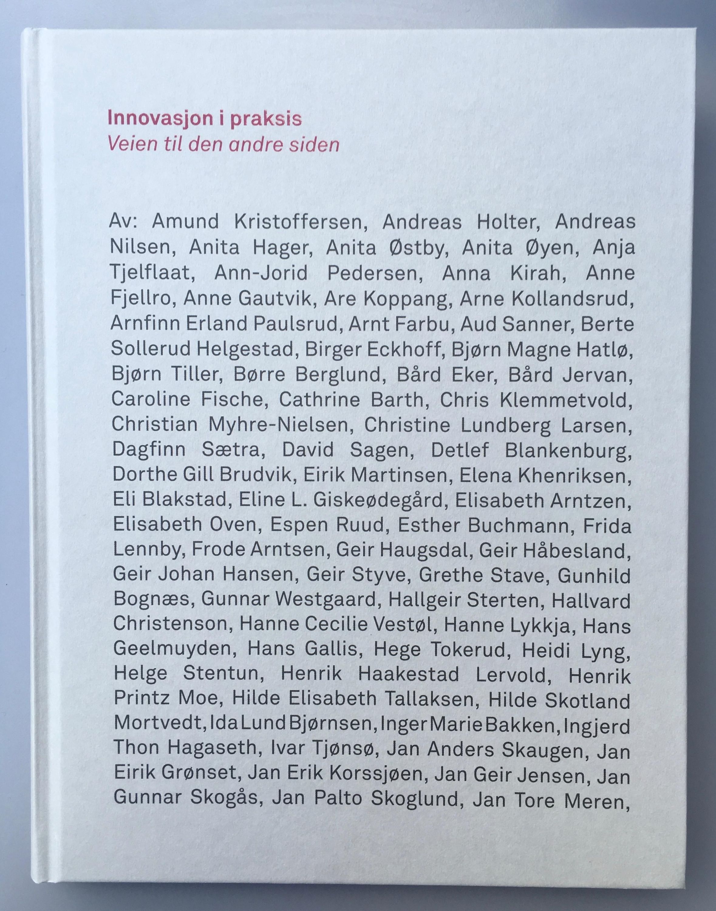 Innovasjon i praksis : veien til den andre siden