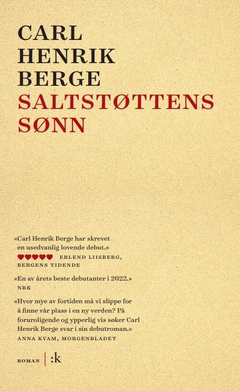 Saltstøttens sønn : roman
