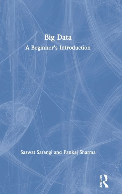 Big Data : A Beginner's Introduction