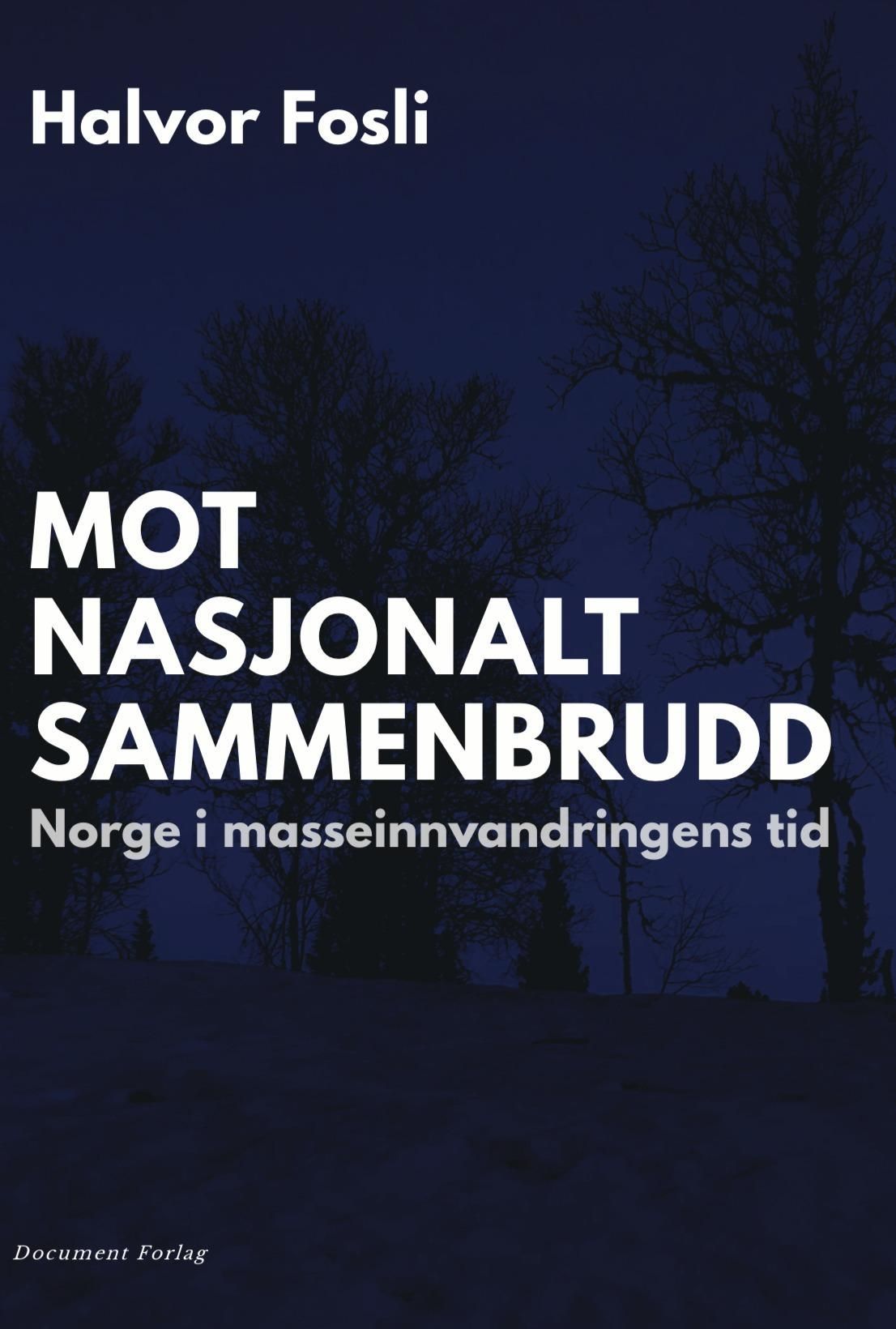 Mot nasjonalt sammenbrudd : Norge i masseinnvandringens tid