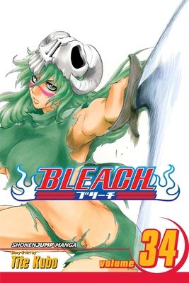 Bleach. vol. 34. King of the kill