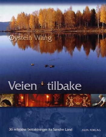 Veien tilbake : 36 religiøse betraktninger fra Søndre Land