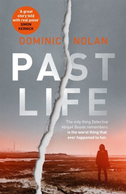 Past Life : an 'astonishing' and 'gripping' crime thriller