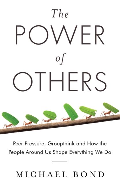 The Power of Others : Peer Pressure, Groupthink, and How the People Around Us Shape Everything We Do