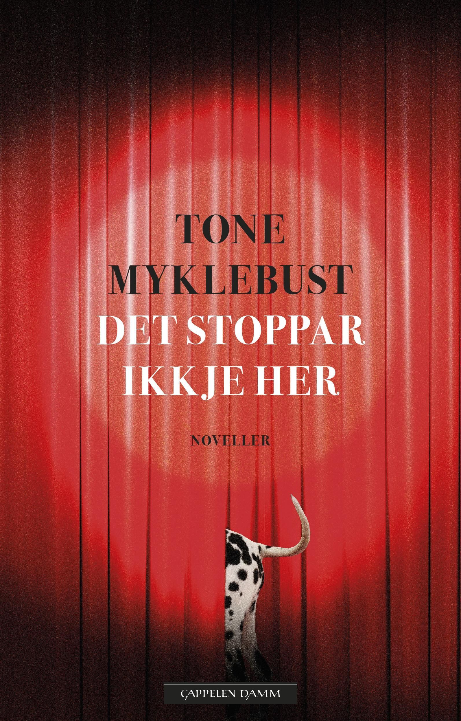 Det stoppar ikkje her : noveller