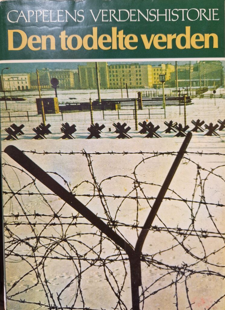 Cappelens verdenshistorie. Bd. 18 : den todelte verden