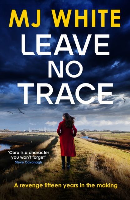 Leave No Trace : A suspenseful, twisty detective novel