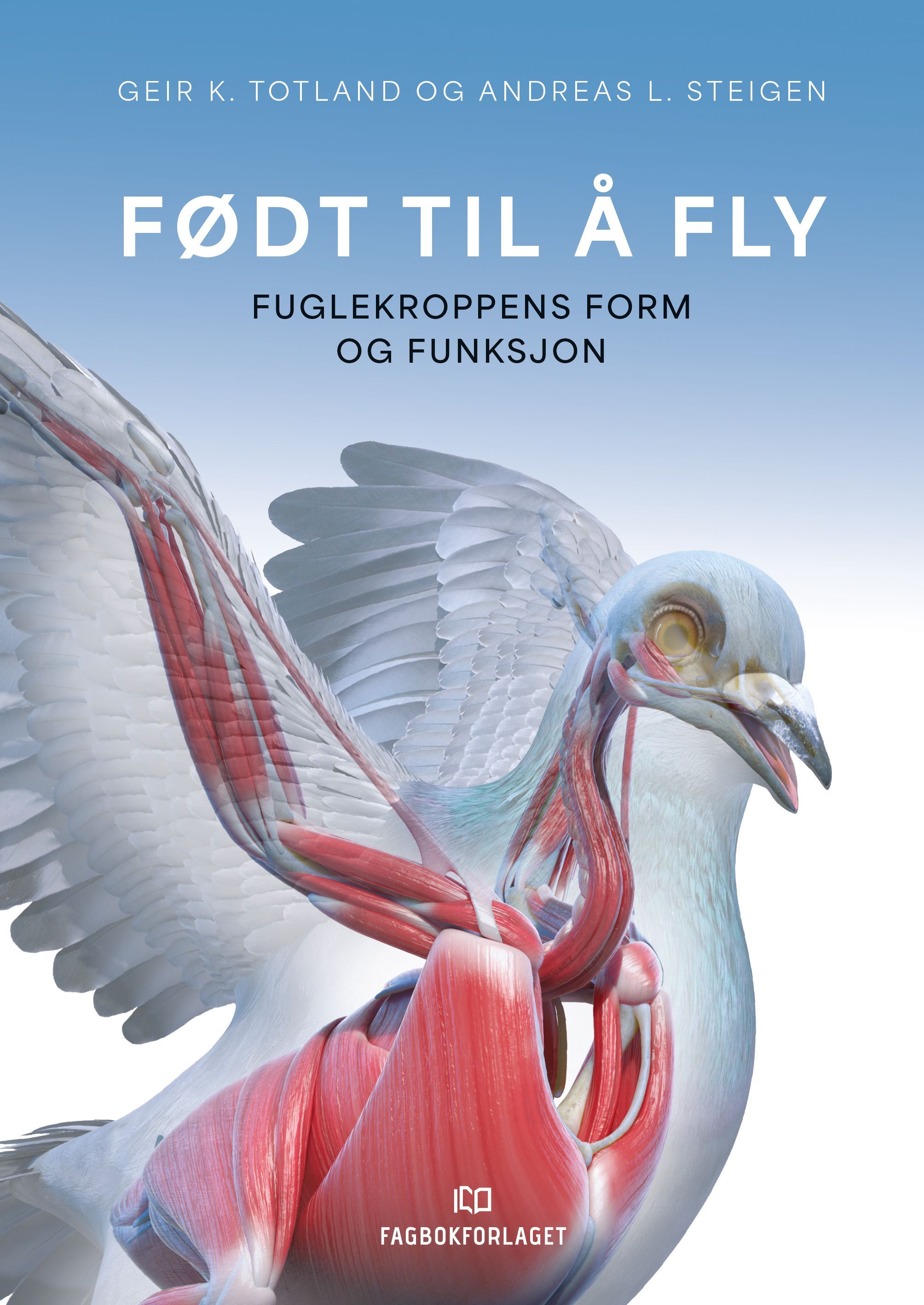 Født til å fly : fuglekroppens form og funksjon