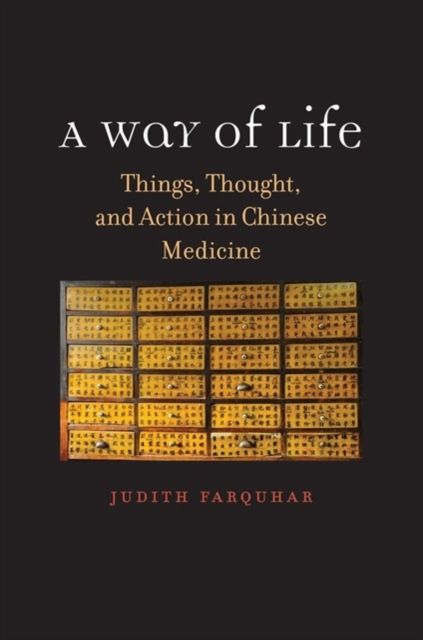 A Way of Life : Things, Thought, and Action in Chinese Medicine