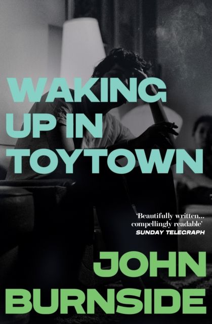 Waking Up in Toytown : A Memoir
