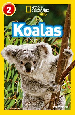 Koalas : Level 2