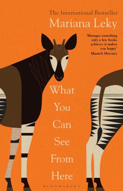 Forsidebilde av What You Can See From Here : 'A clear-eyed tonic in troubled times' (Guardian)
