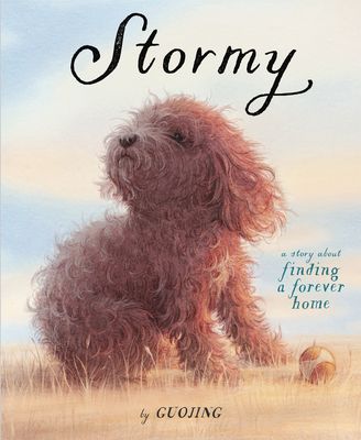 Stormy : : a story about finding a forever home