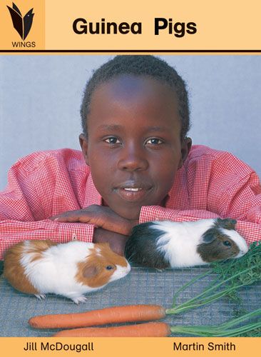 Guinea pigs