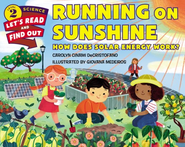 Running on Sunshine : How Does Solar Energy Work?