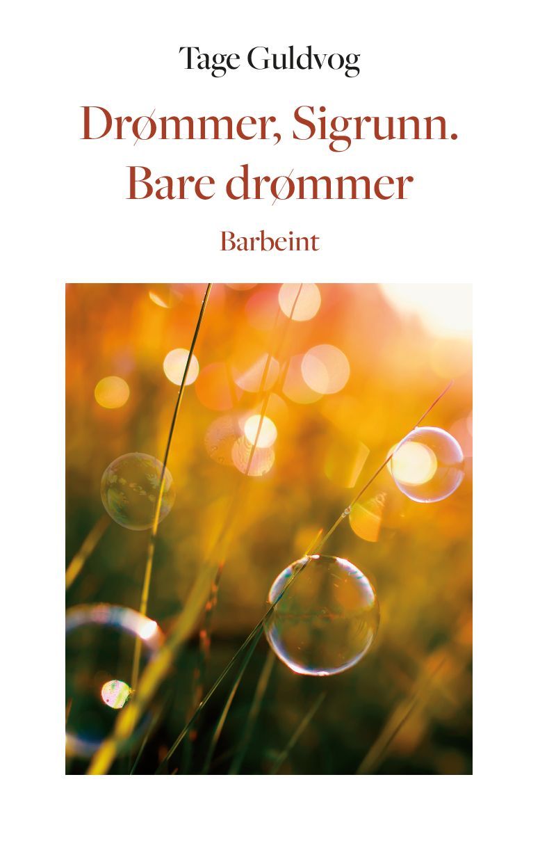 Forsidebilde av Drømmer, Sigrunn. Bare drømmer : barbeint