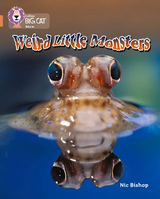 Weird Little Monsters : Band 12/Copper