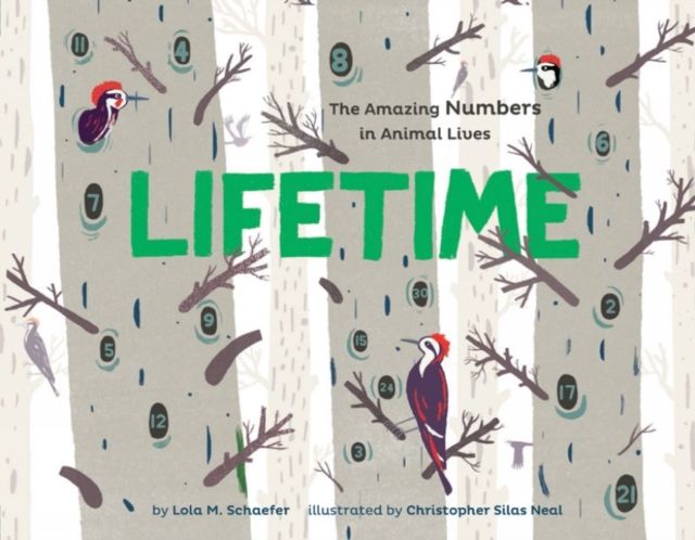 Lifetime : The Amazing Numbers in Animal Lives