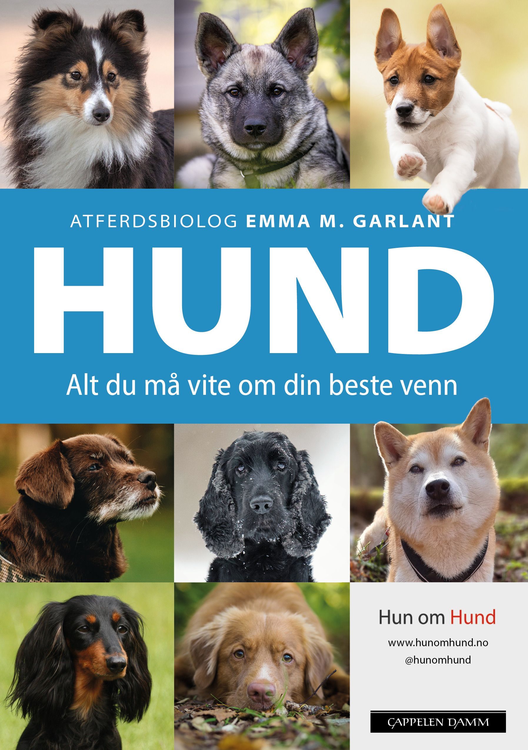 Hund : alt du må vite om din beste venn