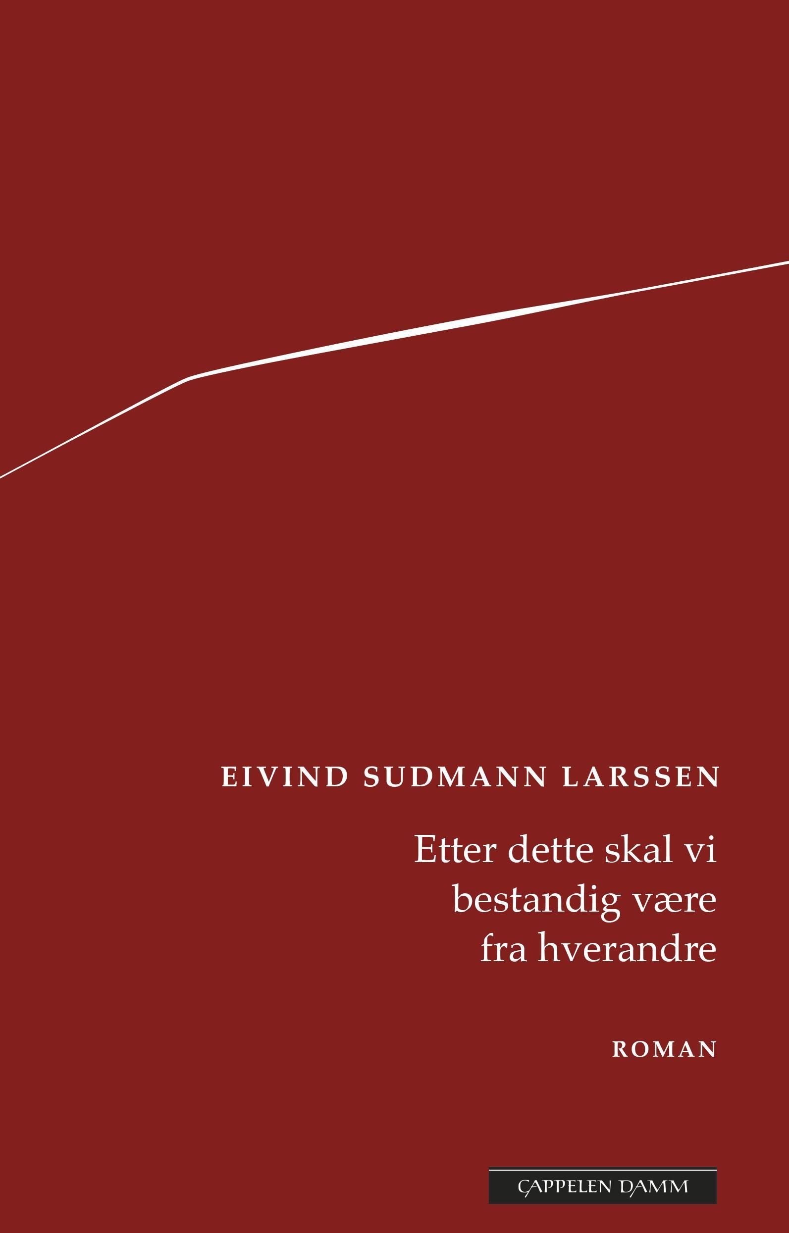 Etter dette skal vi bestandig være fra hverandre : roman